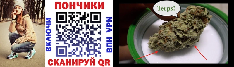 Каннабис план  купить наркотик  Пугачёв 